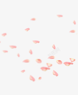 桃花花瓣飘落装饰装饰壁纸装饰壁纸素材