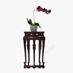 一盆蝴蝶兰放在一个圆形木质家具凳子上素材
