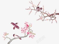 燕雀传统绘画动植物壁纸动植物壁纸素材