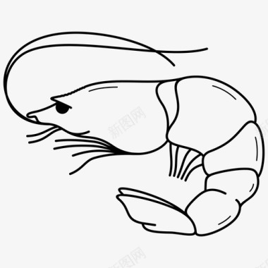 虾甲壳类动物长胡须图标