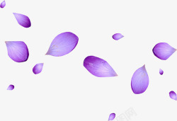 紫色花瓣装饰壁纸装饰壁纸素材
