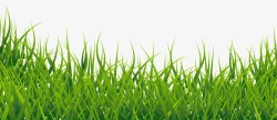 图设计绿色小草草丛大自然生态春意盎然纯天然值得信赖素材