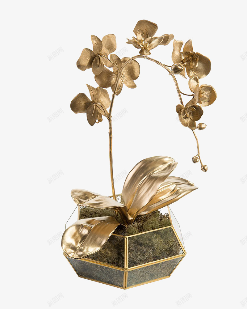 花盆栽金色金箔纸贴纸金箔纸图png免抠素材_88icon https://88icon.com 金箔纸 箔纸 花盆 盆栽 金色 贴纸