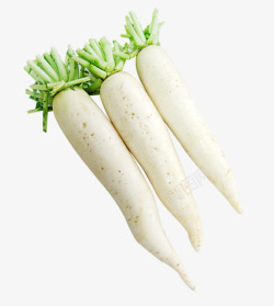 新鲜蔬菜白萝卜素材