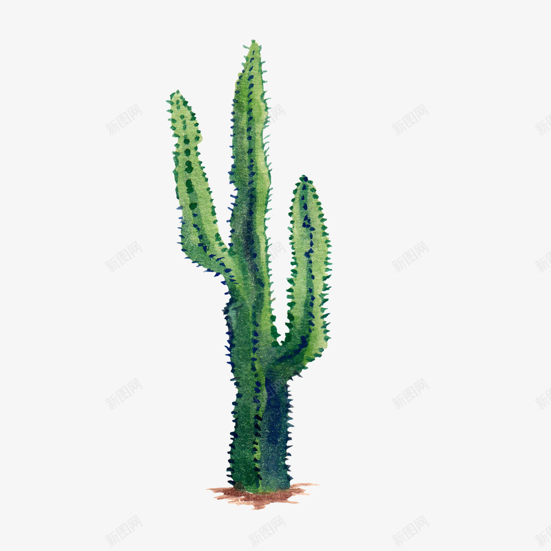 水彩仙人掌插画免扣cactus25涂设计png免抠素材_88icon https://88icon.com 水彩 仙人掌 插画 免扣 cactus25 设计