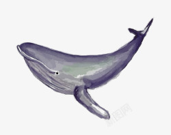 水彩手绘童话海洋鲸鱼卡通装饰PS透明高清101水彩素材