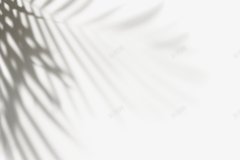 植物投影光影丁达尔光效窗户投影窗户影子来自网络收集png免抠素材_88icon https://88icon.com 投影 窗户 植物 光影 丁达尔 达尔 光效 影子 来自 网络 收集