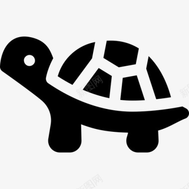乌龟生日卡乌龟野生动物55填充图标