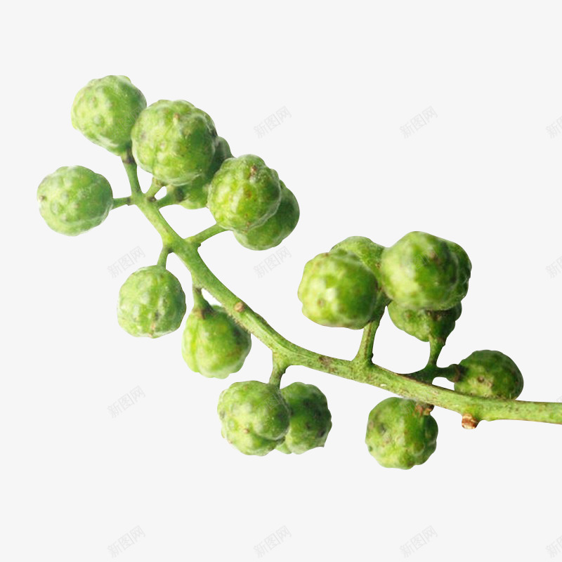 青花椒花椒新鲜花椒png免抠素材_88icon https://88icon.com 花椒 青花 新鲜