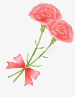 康乃馨母亲节感恩节167插画母亲节父亲教师节素材