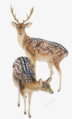 水彩手绘梦幻麋鹿小鹿免扣透明141水彩手绘梦幻麋鹿素材