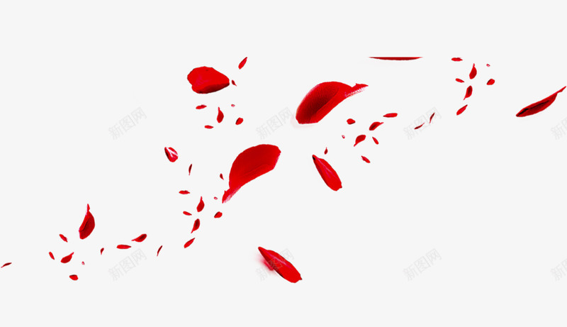 红色飘散玫瑰花装饰壁纸装饰壁纸png免抠素材_88icon https://88icon.com 装饰 壁纸 红色 飘散 玫瑰花