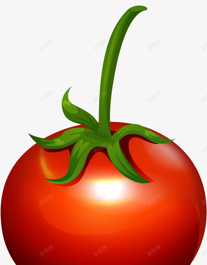 西红柿番茄蔬菜水果食物png免抠素材_88icon https://88icon.com 西红柿 番茄 蔬菜水果 食物