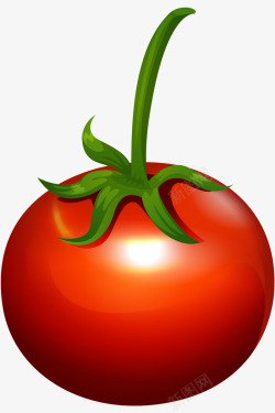 西红柿番茄蔬菜水果食物素材