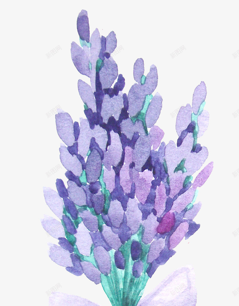 春天紫色薰衣草png免抠素材_88icon https://88icon.com 紫色花 薰衣草 春天 春季 植物 秋天 秋季 花朵 赏花