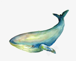 水彩手绘童话海洋鲸鱼卡通装饰PS透明高清63水彩手素材