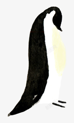 水彩卡通可爱手绘企鹅剪贴画图案手账设计PS9水彩卡素材