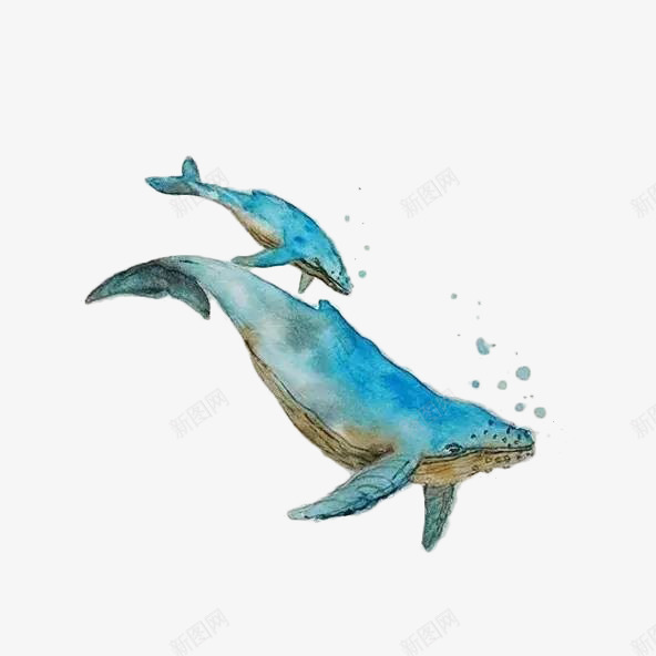 水彩手绘童话海洋鲸鱼卡通装饰PS透明高清95水彩手png免抠素材_88icon https://88icon.com 水彩 手绘 童话 海洋 鲸鱼 卡通 装饰 PS 透明 高清