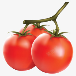 蔬菜水果番茄西红柿蔬菜水果食物素材