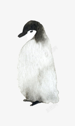 水彩卡通可爱手绘企鹅剪贴画图案手账设计PS5水彩卡素材