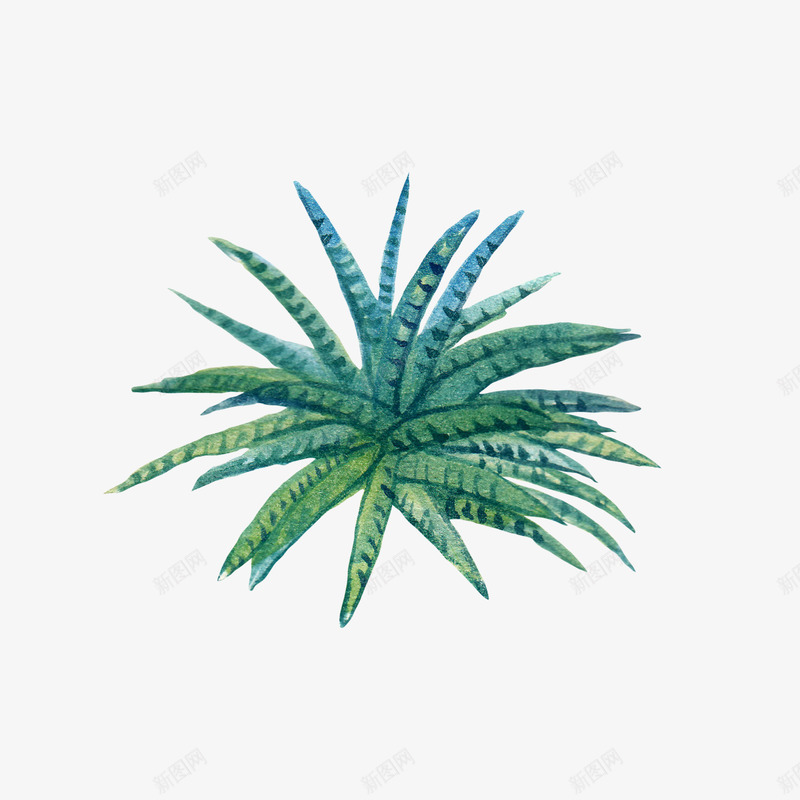 水彩仙人掌插画免扣cactus24涂设计png免抠素材_88icon https://88icon.com 水彩 仙人掌 插画 免扣 cactus24 设计