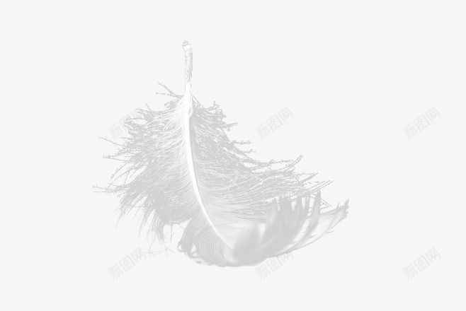 白色羽毛天使纯洁浪漫飘落漂浮png免抠素材_88icon https://88icon.com 羽毛 白色 天使 纯洁 浪漫 飘落 漂浮 洒落 婚纱 后期 摄影