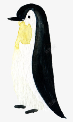 水彩卡通可爱手绘企鹅剪贴画图案手账设计PS23水彩素材
