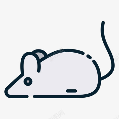 老鼠老鼠宠物12线性颜色图标