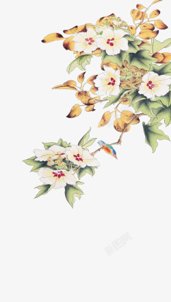 彩色小鸟中国绘画写实花鸟古风水墨水彩壁纸工笔画素材