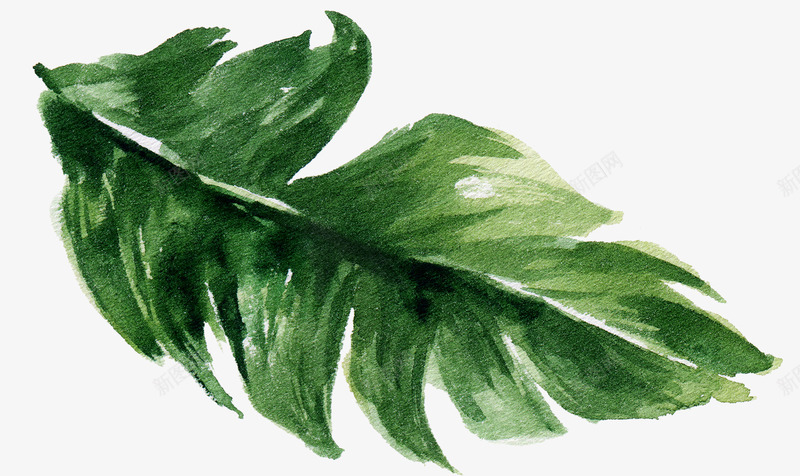 水彩绿叶树叶海边沙滩植物叶子芭蕉叶小清png免抠素材_88icon https://88icon.com 叶子 叶小清 树叶 植物 水彩 沙滩 海边 绿叶 芭蕉