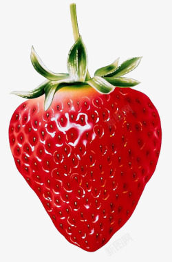 透明果蔬水果蔬菜草莓8蔬菜水果蔬菜水果素材