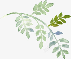 手绘彩绘植物绿叶花朵北坤人透明素材