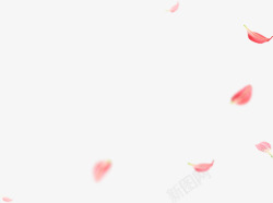 飞舞的玫瑰花瓣漂浮素材