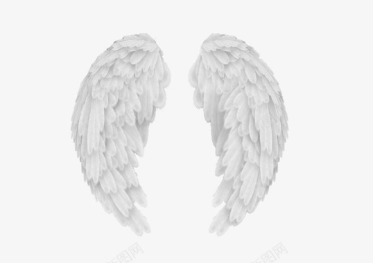 翅膀白色天使的翅膀T201936图标