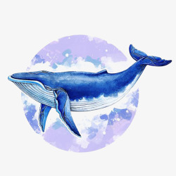 水彩手绘童话海洋鲸鱼卡通装饰PS透明高清27合成素材
