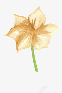 水彩卡通手绘植物动物昆虫装饰图案剪贴画手账设计50素材