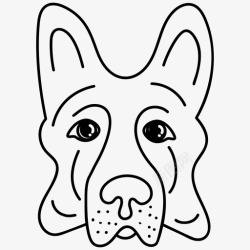 疯狂的狗的肖像德国牧羊犬食肉动物家养狗高清图片