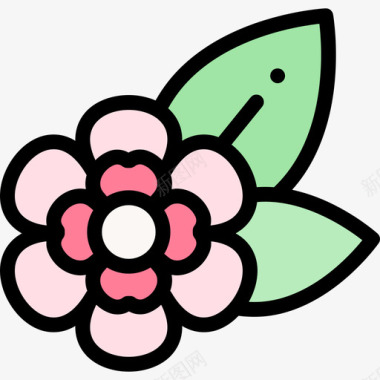 花朵热带花卉图案4线形颜色图标
