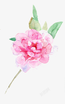 中国古风水墨花手绘水彩植物花卉装饰透明ps13中国素材