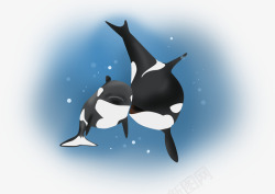 水彩手绘童话海洋鲸鱼卡通装饰PS透明高清51水彩手素材