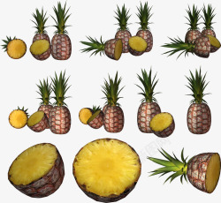 菠萝免费下载收集水果坚果素材