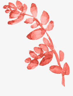 唯美红色珊瑚花卉婚礼请柬装饰模板图案手账14唯美红素材