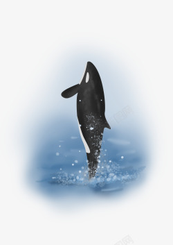 水彩手绘童话海洋鲸鱼卡通装饰PS透明高清82水彩手素材