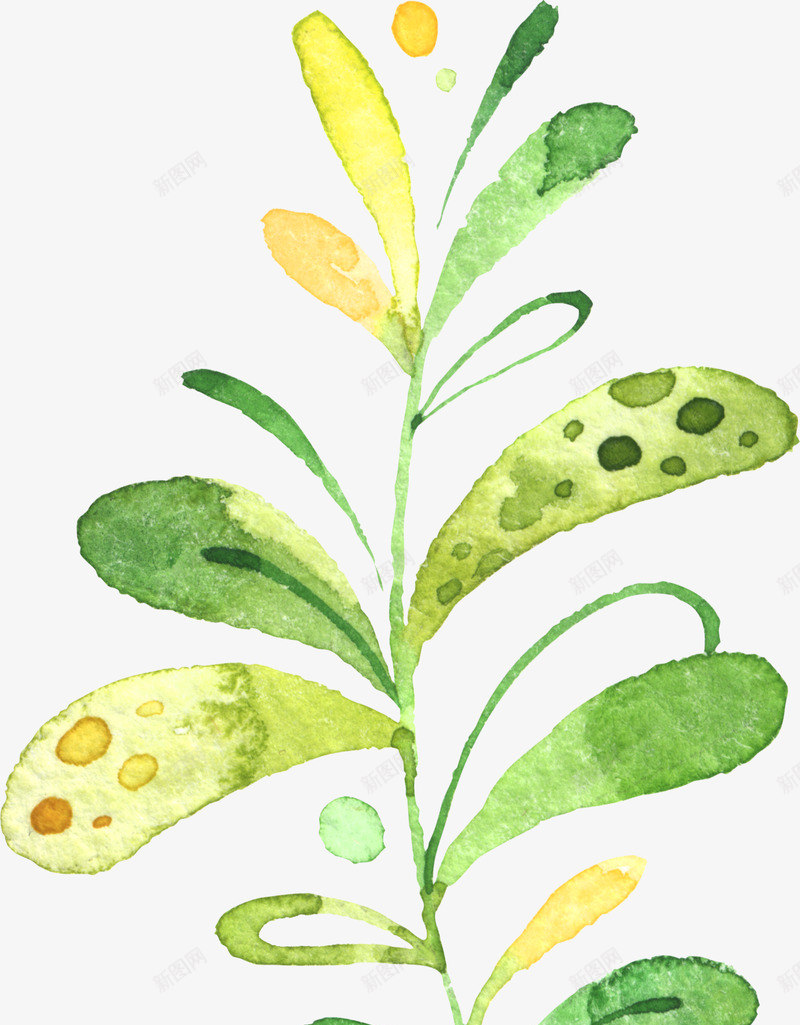 手绘水彩可爱卡通儿童热带动物水果树叶图案7手绘水彩png免抠素材_88icon https://88icon.com 手绘 水彩 可爱 卡通 儿童 热带 动物 水果 树叶 图案