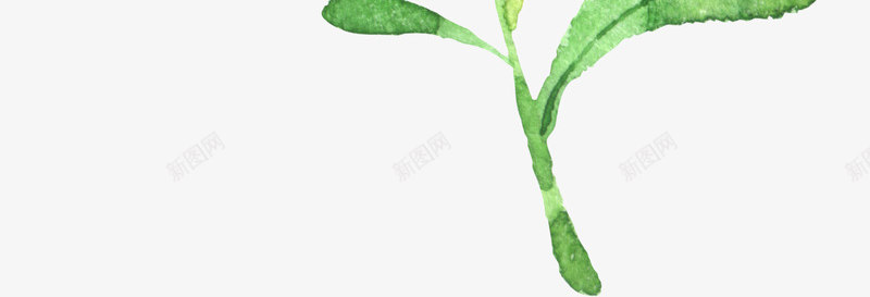 手绘水彩可爱卡通儿童热带动物水果树叶图案7手绘水彩png免抠素材_88icon https://88icon.com 手绘 水彩 可爱 卡通 儿童 热带 动物 水果 树叶 图案