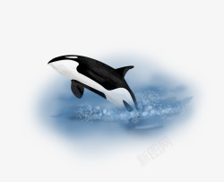 水彩手绘童话海洋鲸鱼卡通装饰PS透明高清30水彩手素材