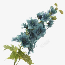 中国古风水墨花手绘水彩植物花卉装饰透明ps400中素材