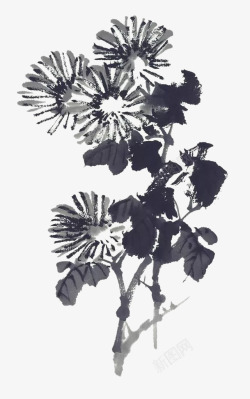 中国古风水墨花手绘水彩植物花卉装饰透明ps422中素材