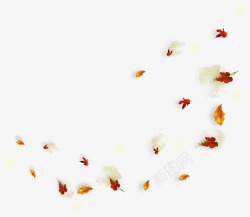 漂浮的枫叶秋天飘落的红枫叶手绘素材