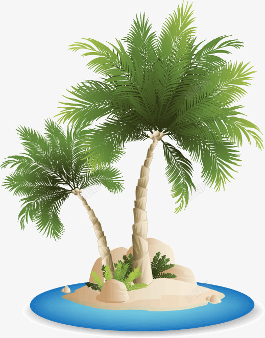 椰子树海滩夏季实物叶草树png免抠素材_88icon https://88icon.com 椰子树 海滩 夏季 实物 叶草
